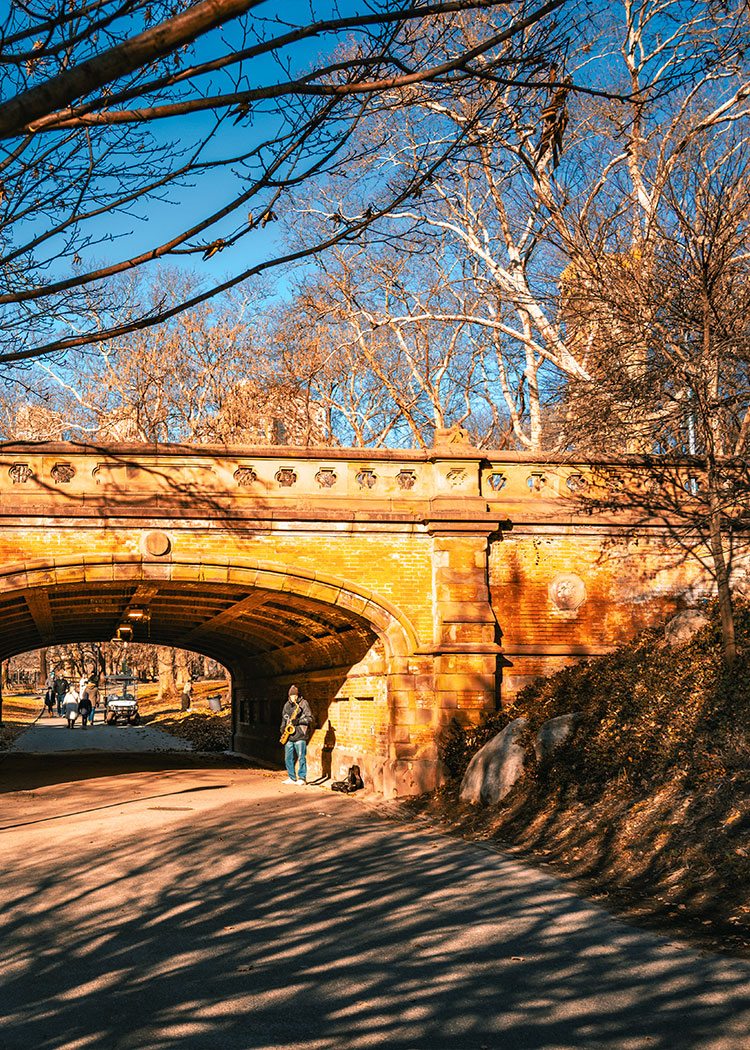 Otoño en USA-New-York