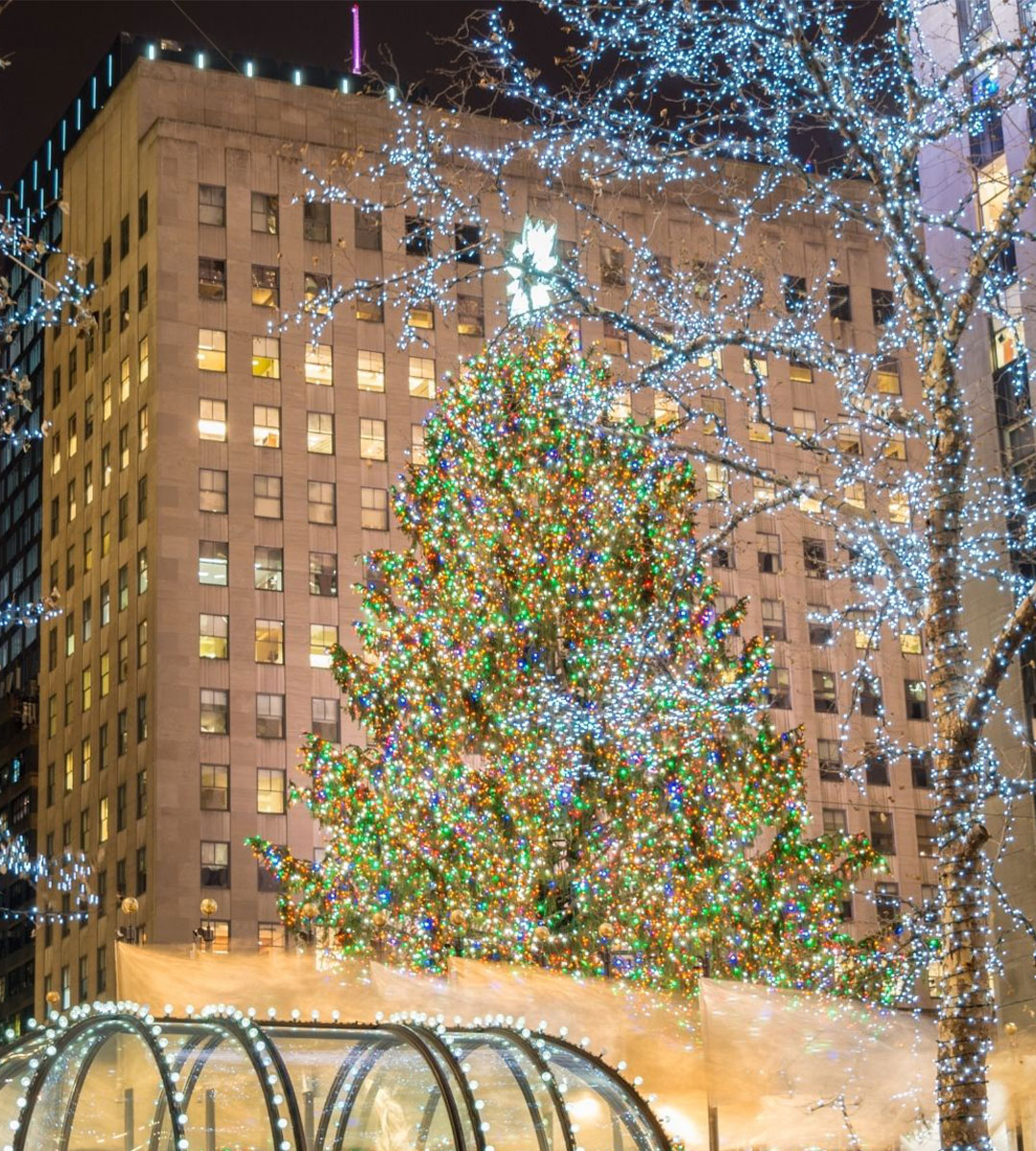 Árbol-Rockefeller-Center-1 New York City USA