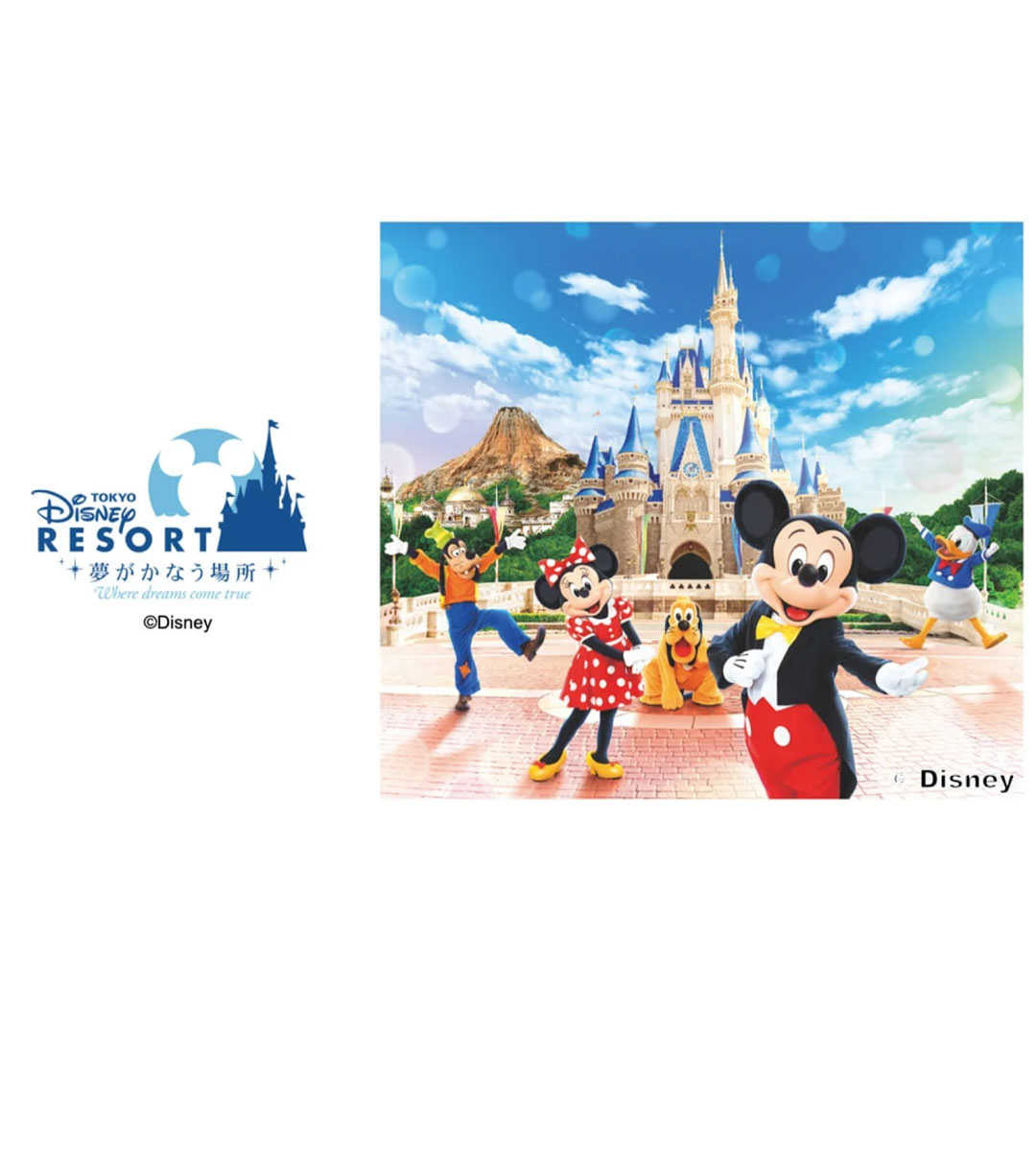 Xochimilco Barco FiestaTentación +18 con barra libre y tacos